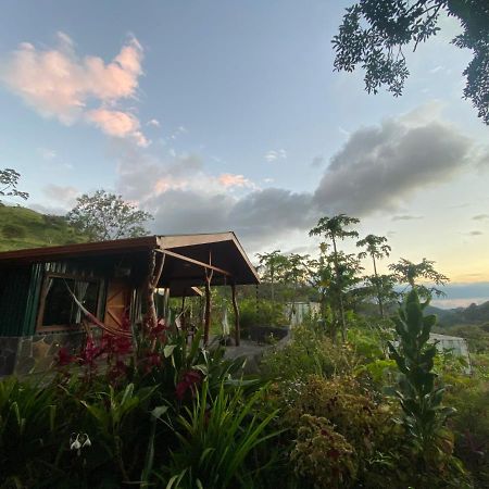 Chorotega Cabina Hotel Monteverde Екстериор снимка