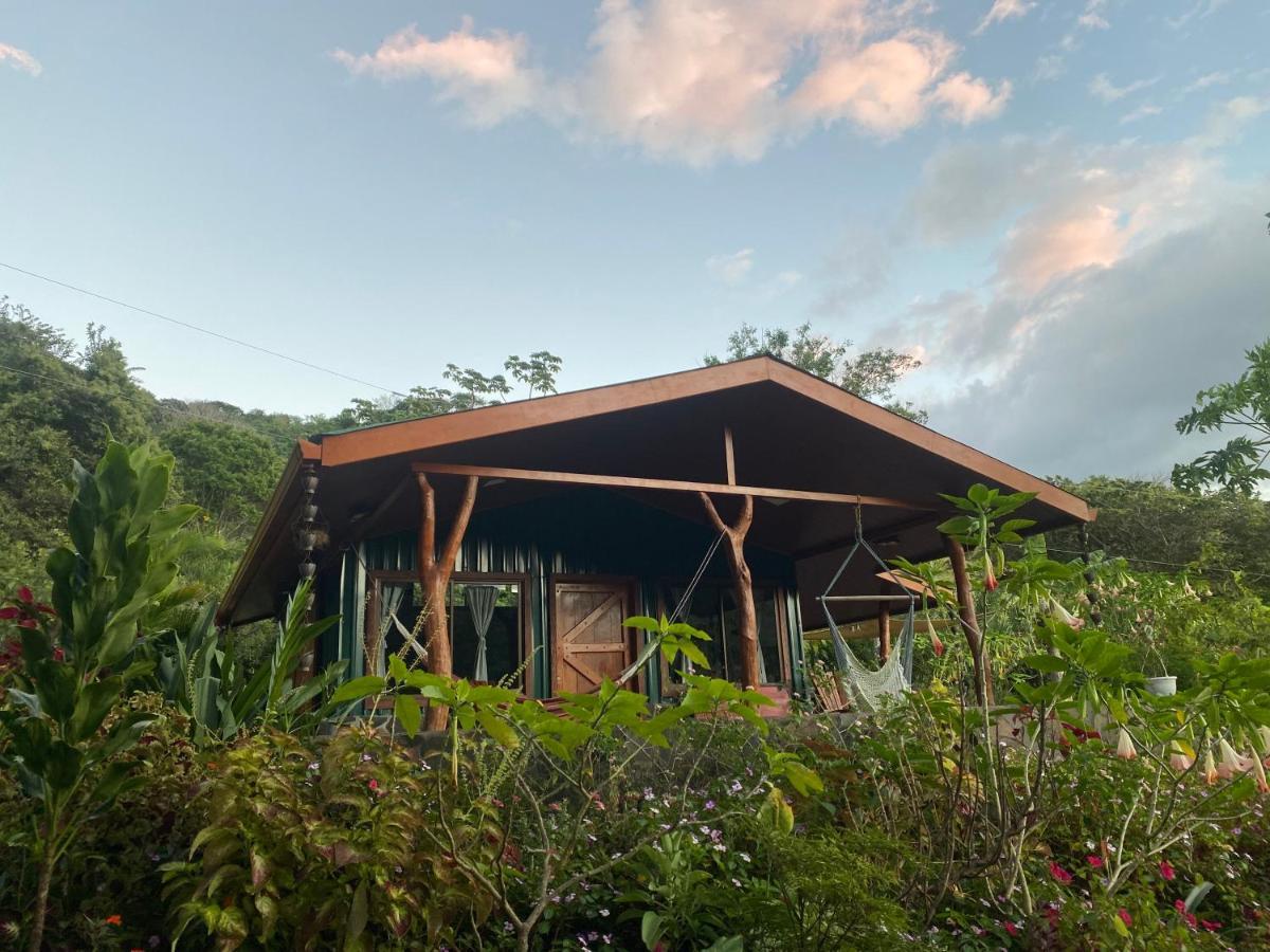 Chorotega Cabina Hotel Monteverde Екстериор снимка