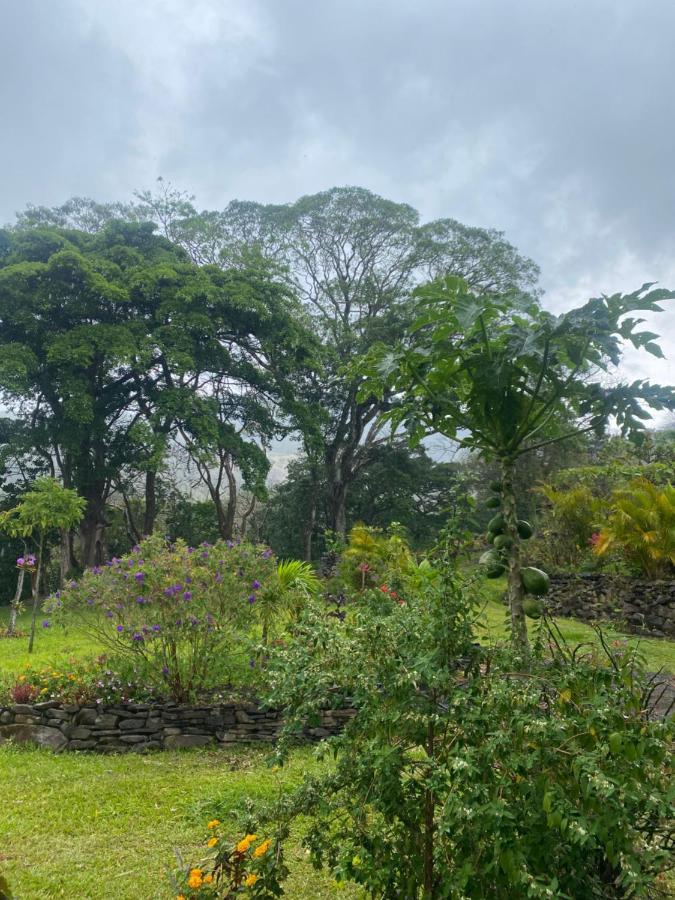 Chorotega Cabina Hotel Monteverde Екстериор снимка